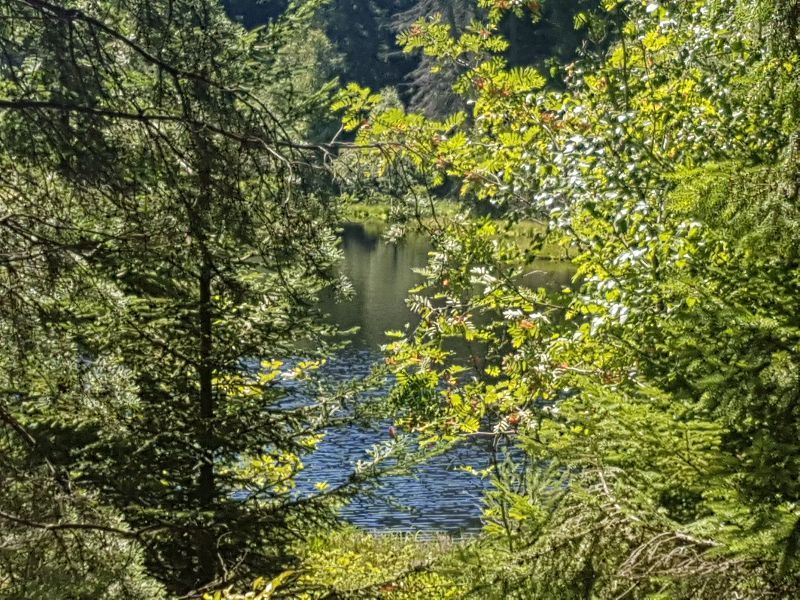 Le Herrenwieser see — photo 3