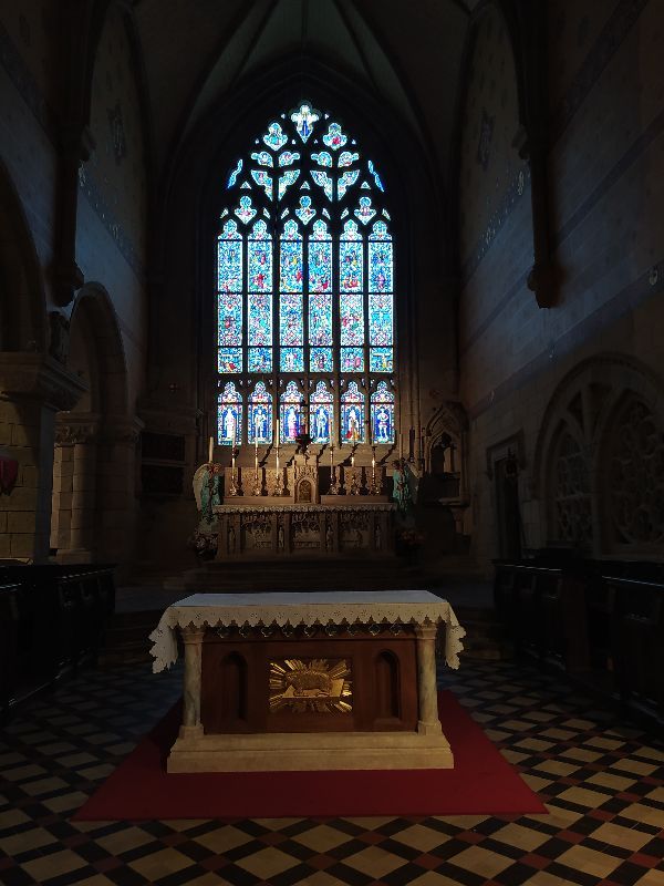 Basilique notre Dame du Roncier — photo 3