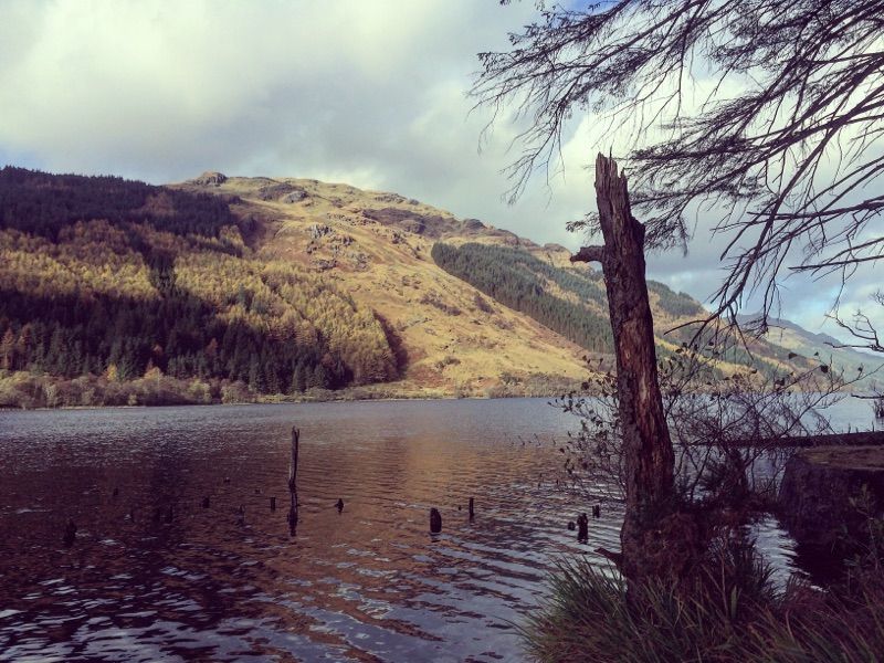 Loch Eck — photo 4