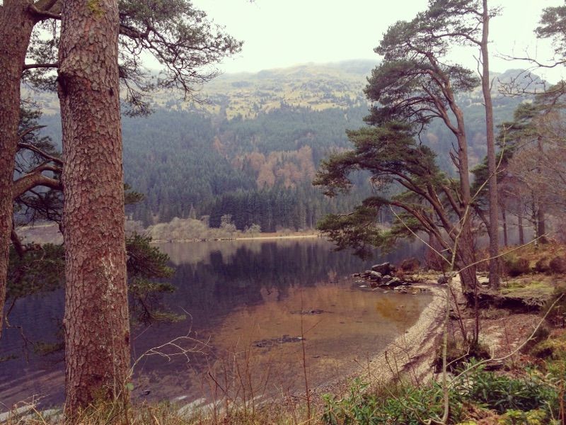 Loch Eck — photo 2