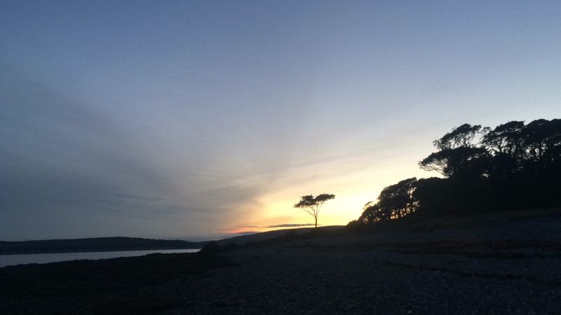 Toward Point — photo 4