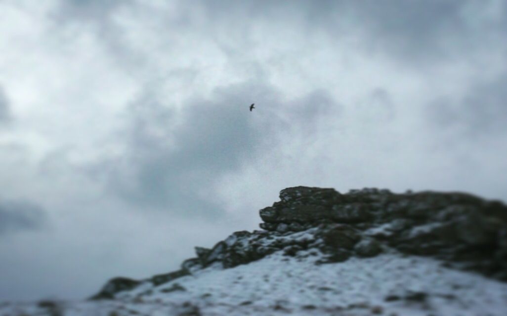 Beinn Donich — photo 4