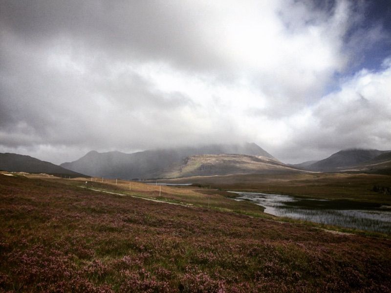 Torridon — photo 5