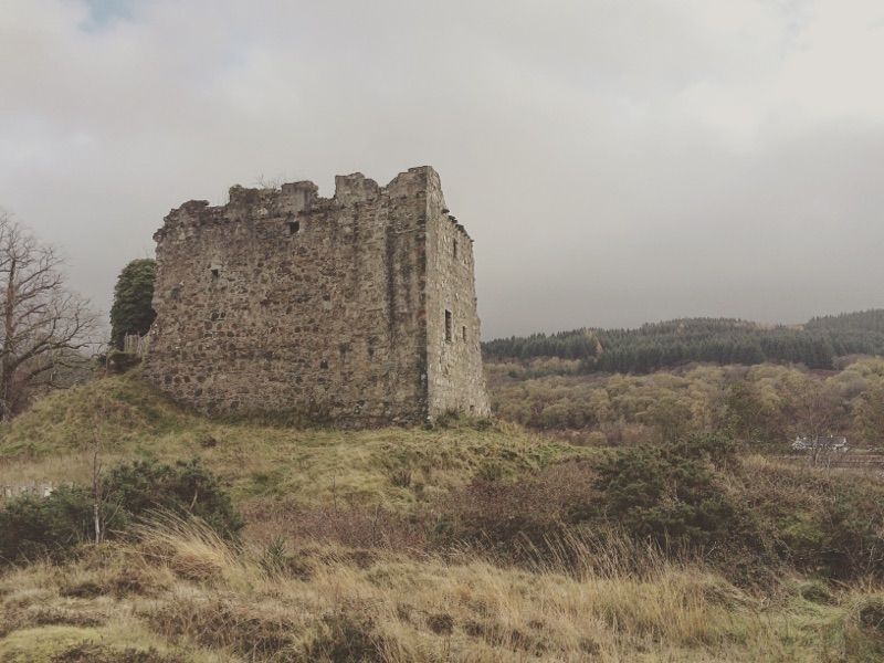 Castle Lachlan — photo 9