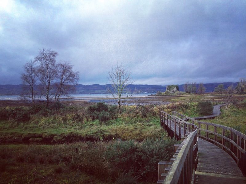 Castle Lachlan — photo 6