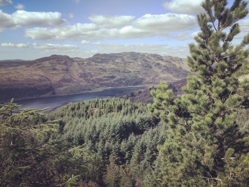 My Raven's rest — photo 8
