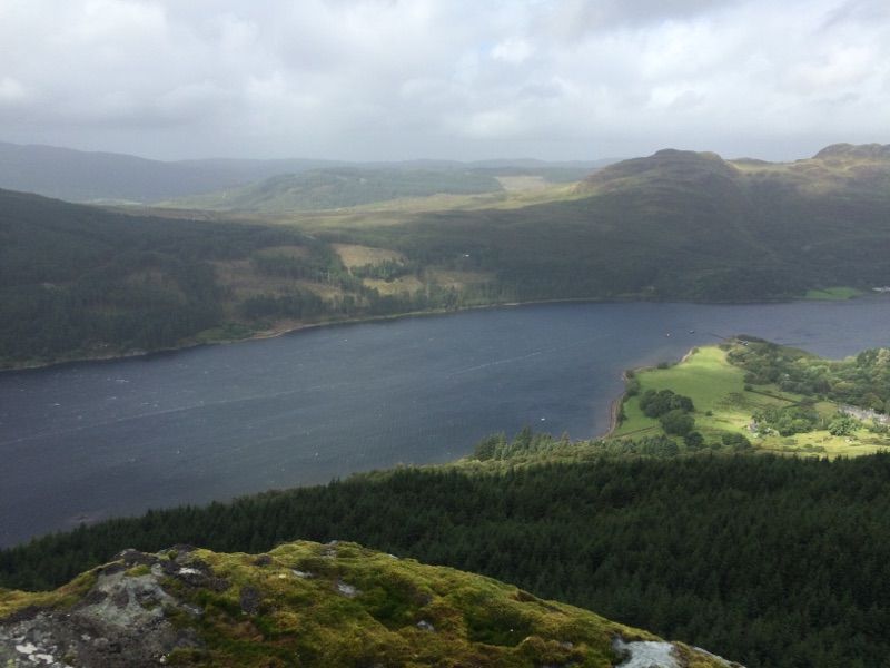 My Raven's rest — photo 15