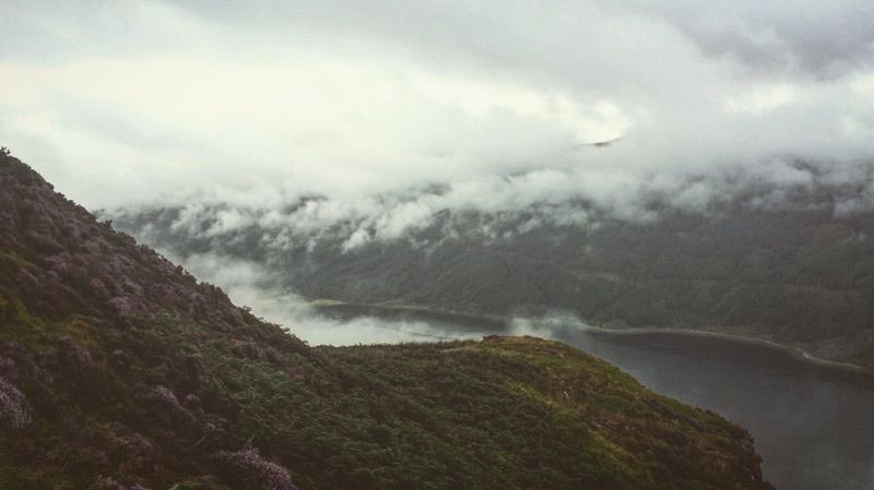 My Raven's rest — photo 3
