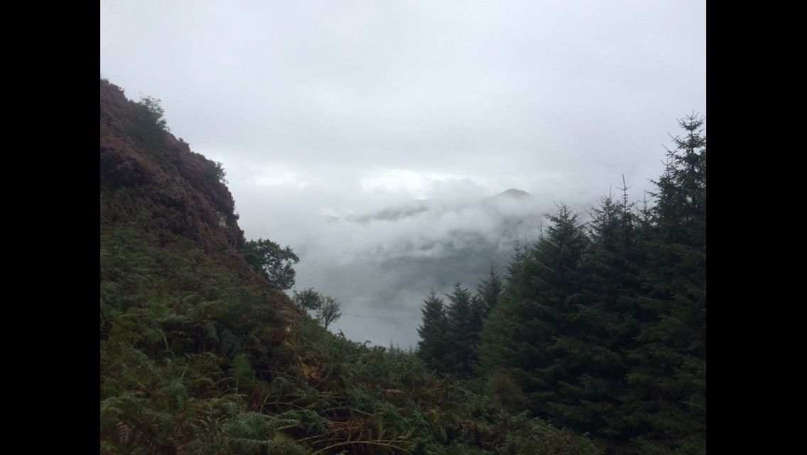 My Raven's rest — photo 17