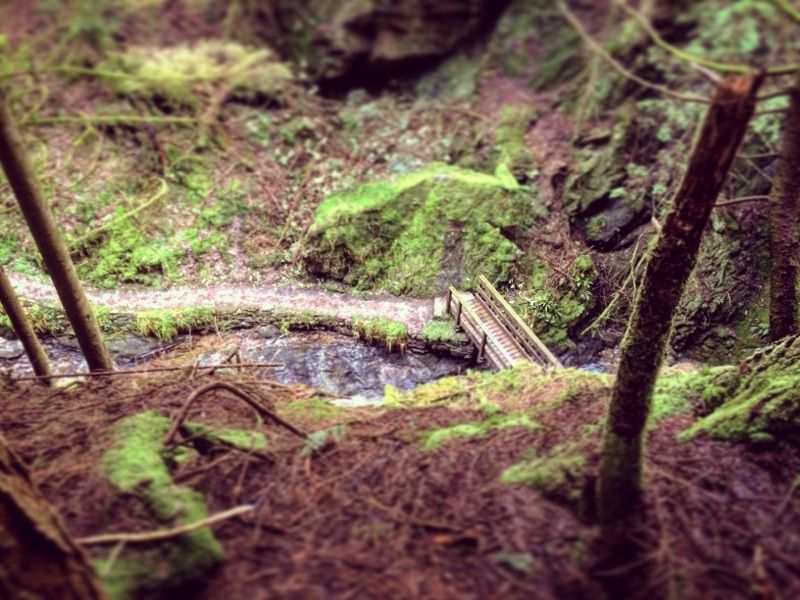 Pucks Glen — photo 8