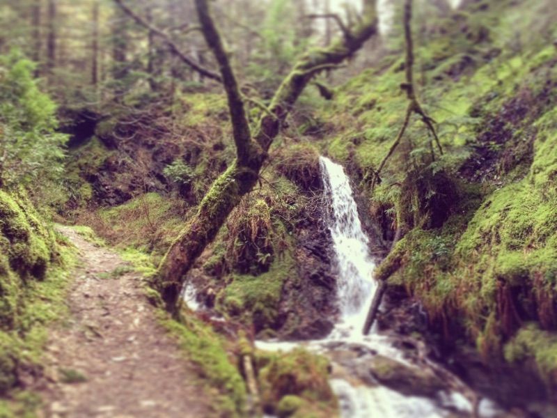 Pucks Glen