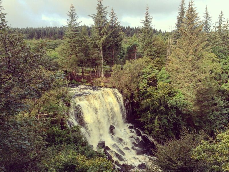 Tobermory — photo 4