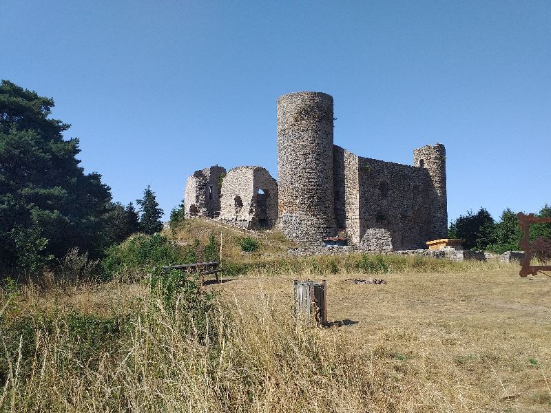 Château d'Urfé dit les "Cornes d'Urfé "