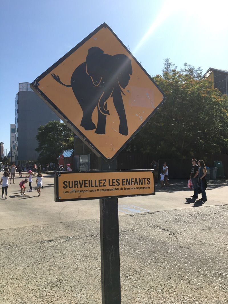 Les Machines de l’Ile — photo 3