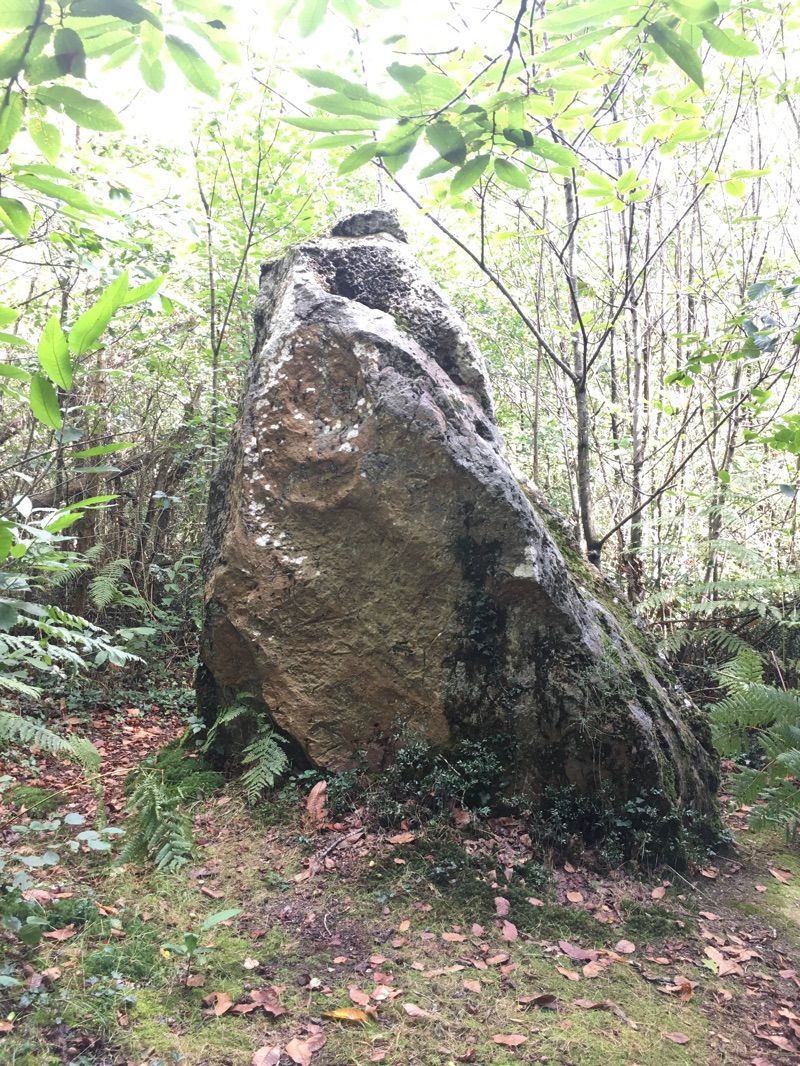 La Pierre Folle — photo 2