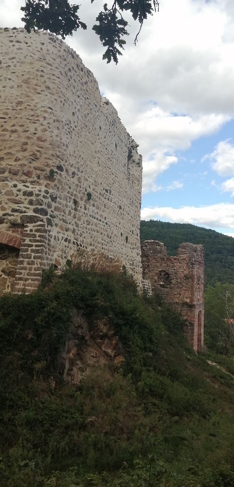 Château du Hugstein — photo 5