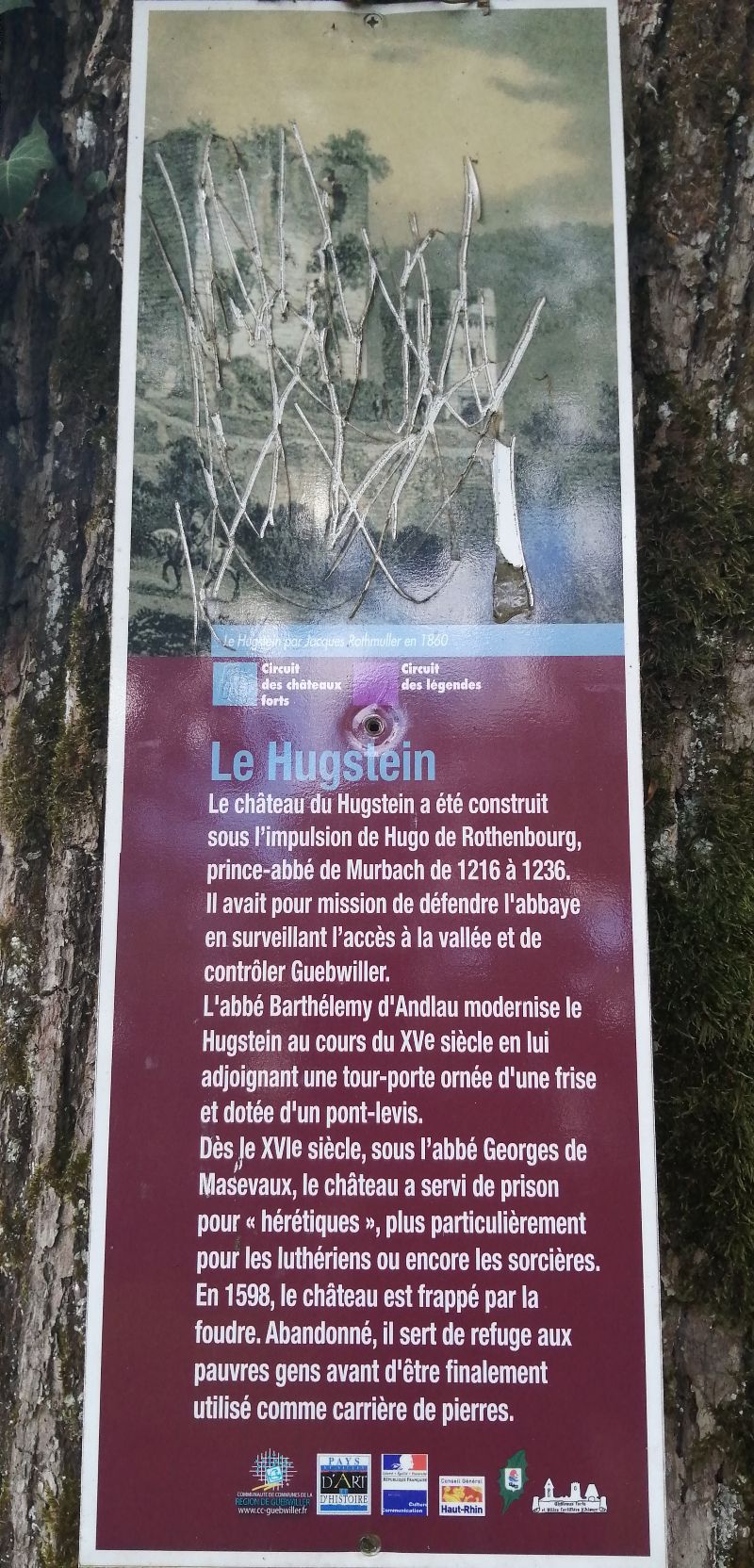 Château du Hugstein — photo 2