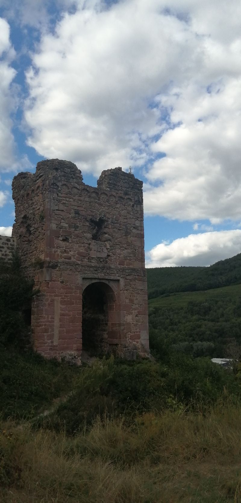 Château du Hugstein — photo 4