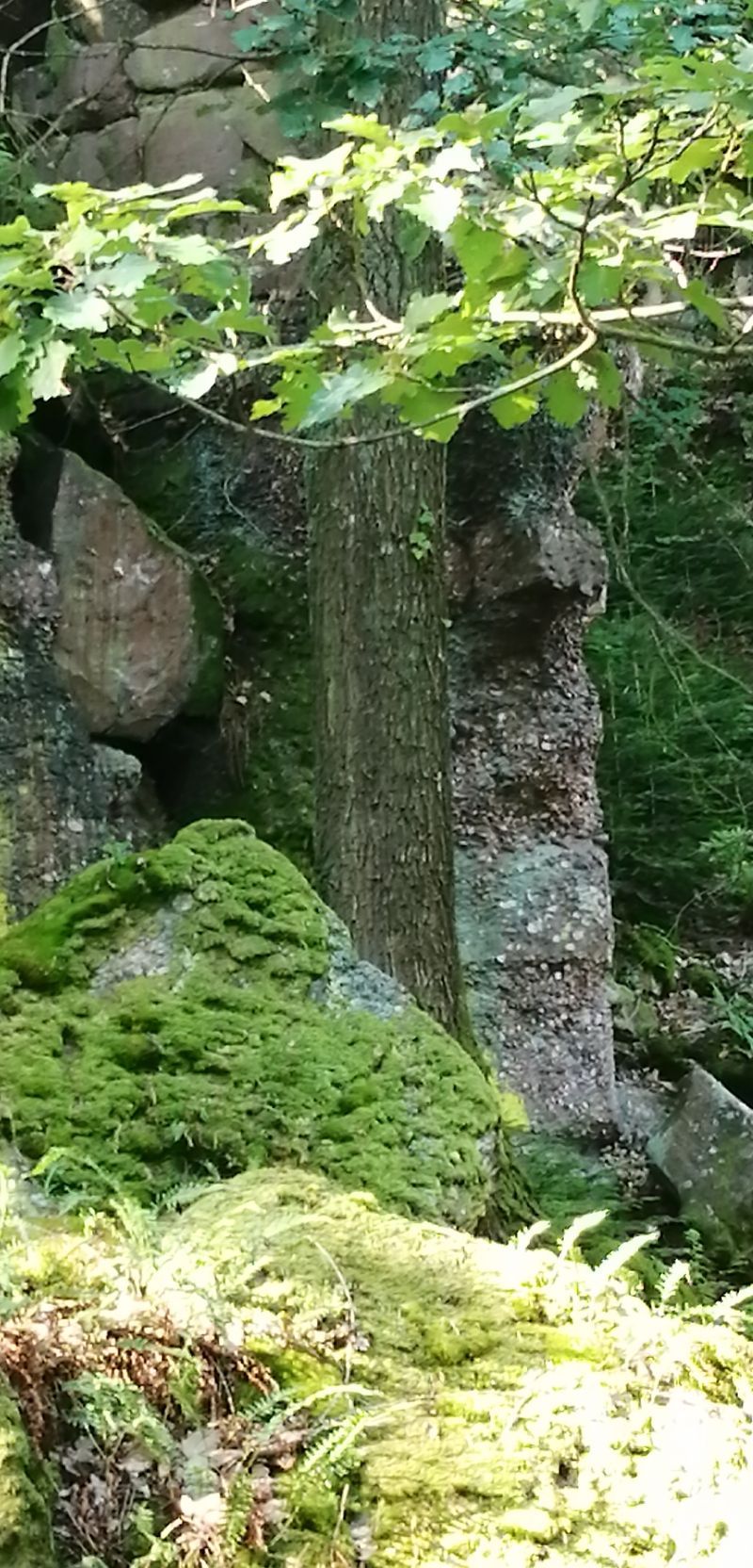 Rocher du coucou