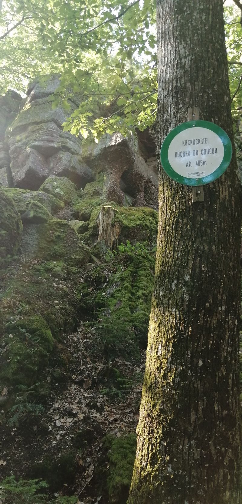 Rocher du coucou — photo 2