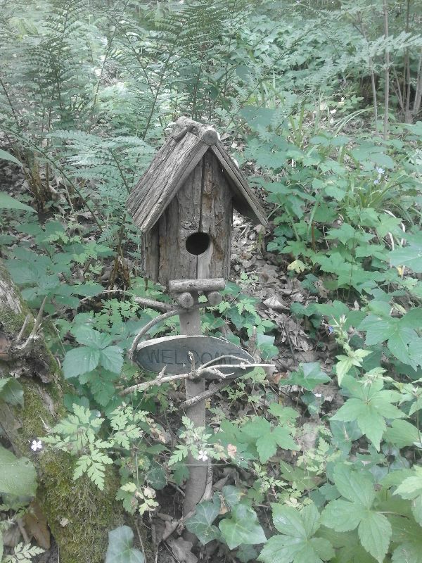 Feengrotten / Fairy Grottoes Saalfeld — photo 7