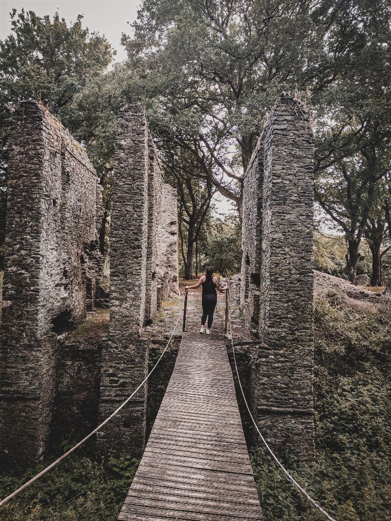 Ruines du Château de Vielle Cour — photo 2