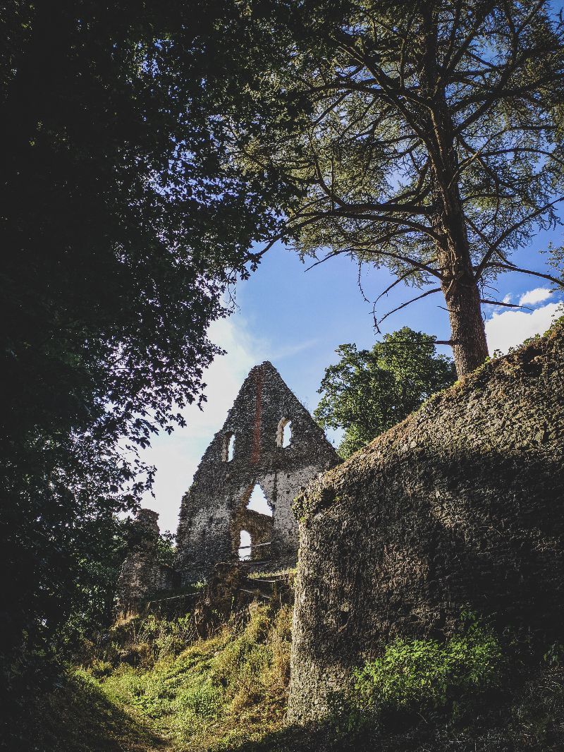 Ruines du Château de Vielle Cour — photo 4