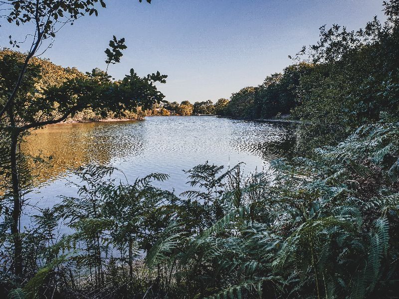 Lac de Vioreau — photo 3