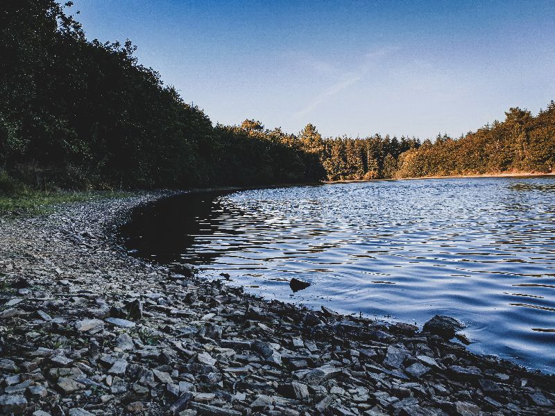 Lac de Vioreau
