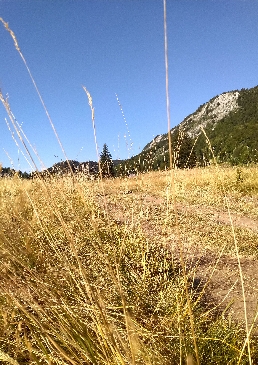 Un voyageur sans nom