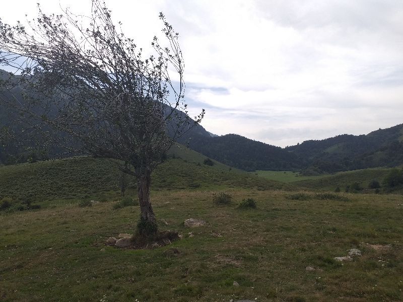 Plateau du Benou