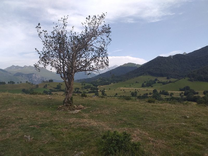 Plateau du Benou — photo 2