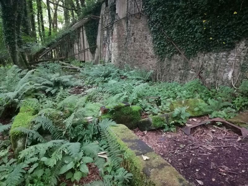 Victorian Walled Garden — photo 8