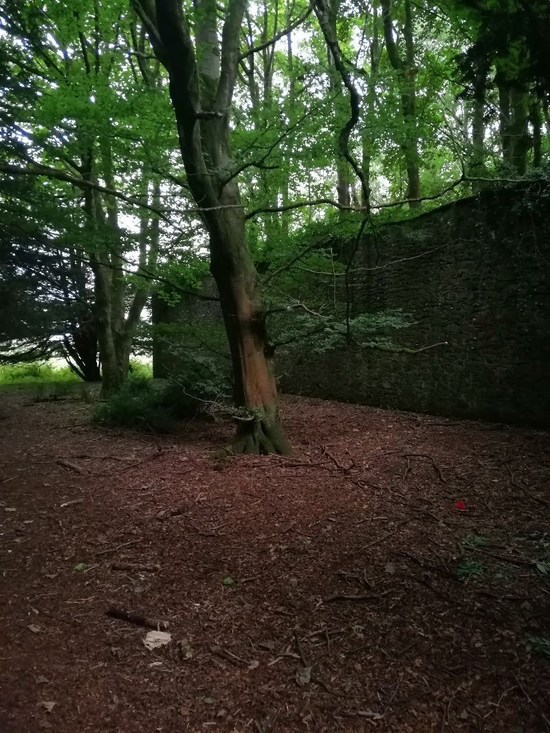 Victorian Walled Garden — photo 16