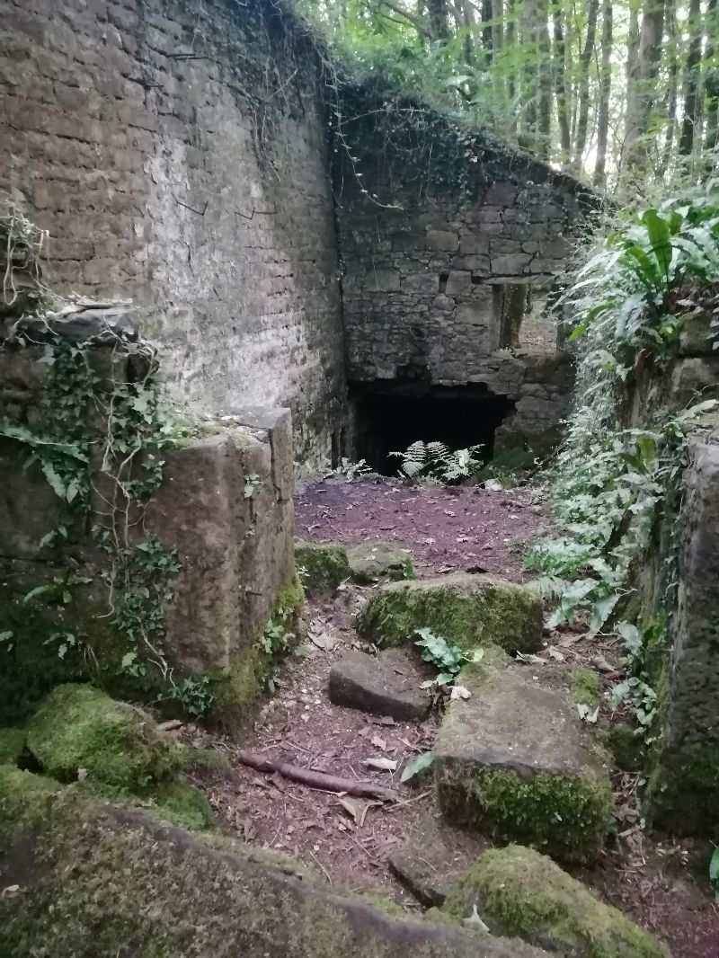 Victorian Walled Garden — photo 15