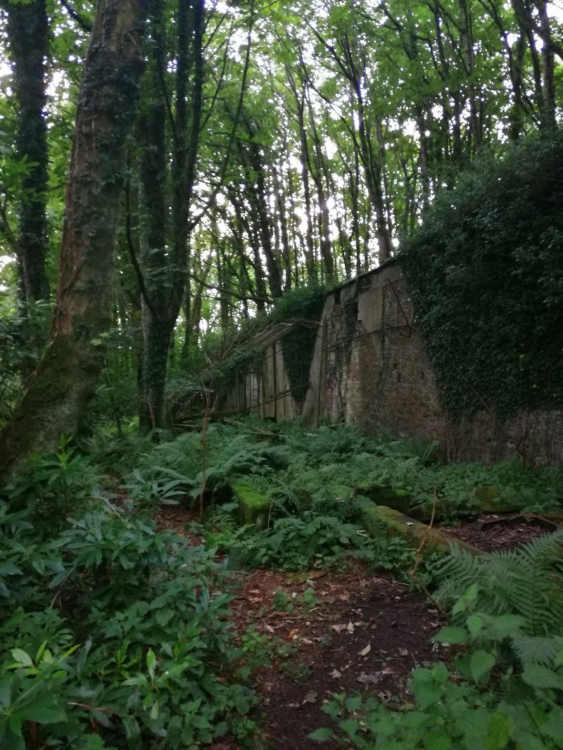 Victorian Walled Garden — photo 5