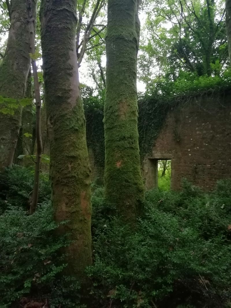 Victorian Walled Garden — photo 11
