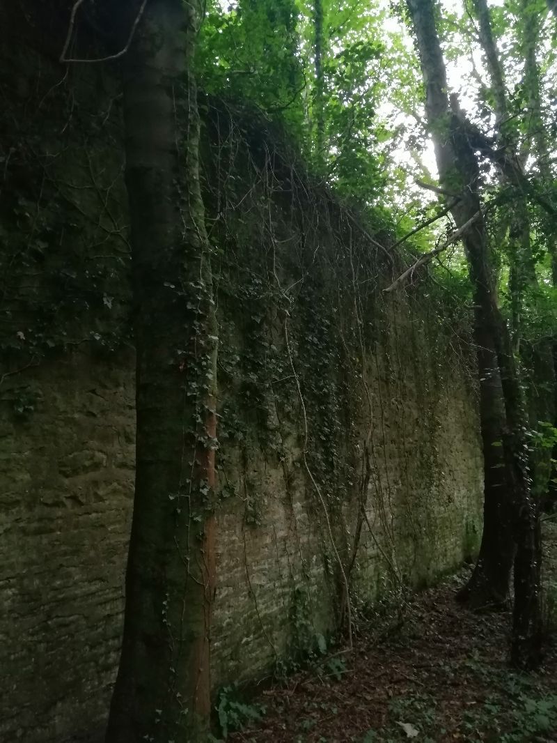Victorian Walled Garden — photo 3