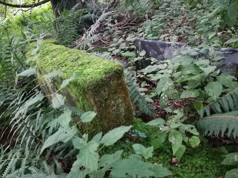 Victorian Walled Garden — photo 6