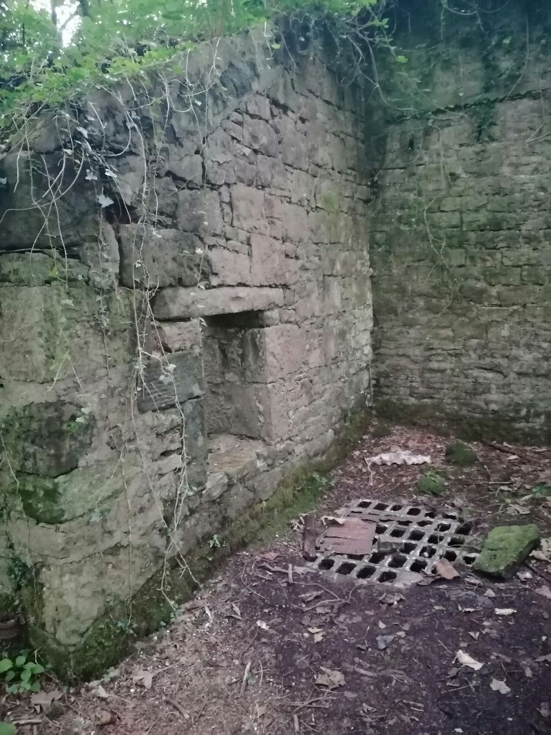 Victorian Walled Garden — photo 14