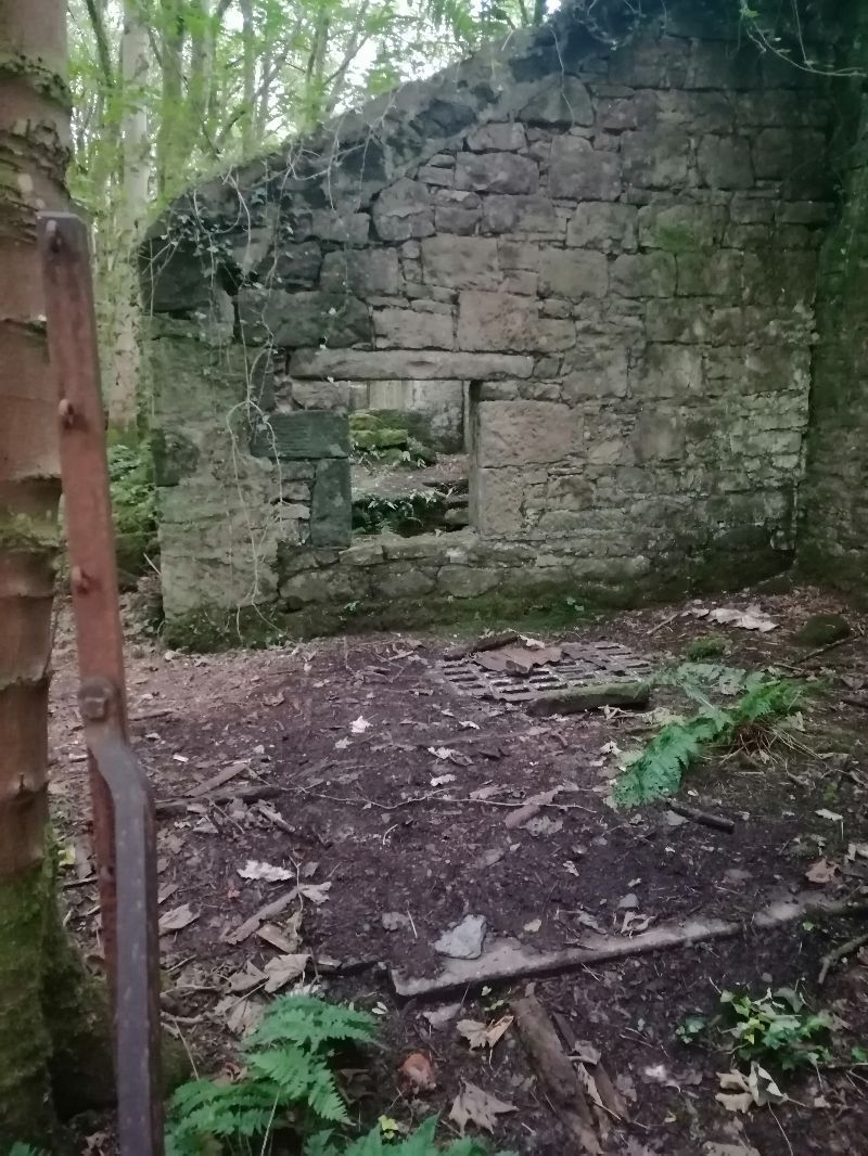 Victorian Walled Garden — photo 12