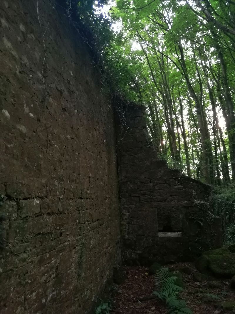 Victorian Walled Garden — photo 4