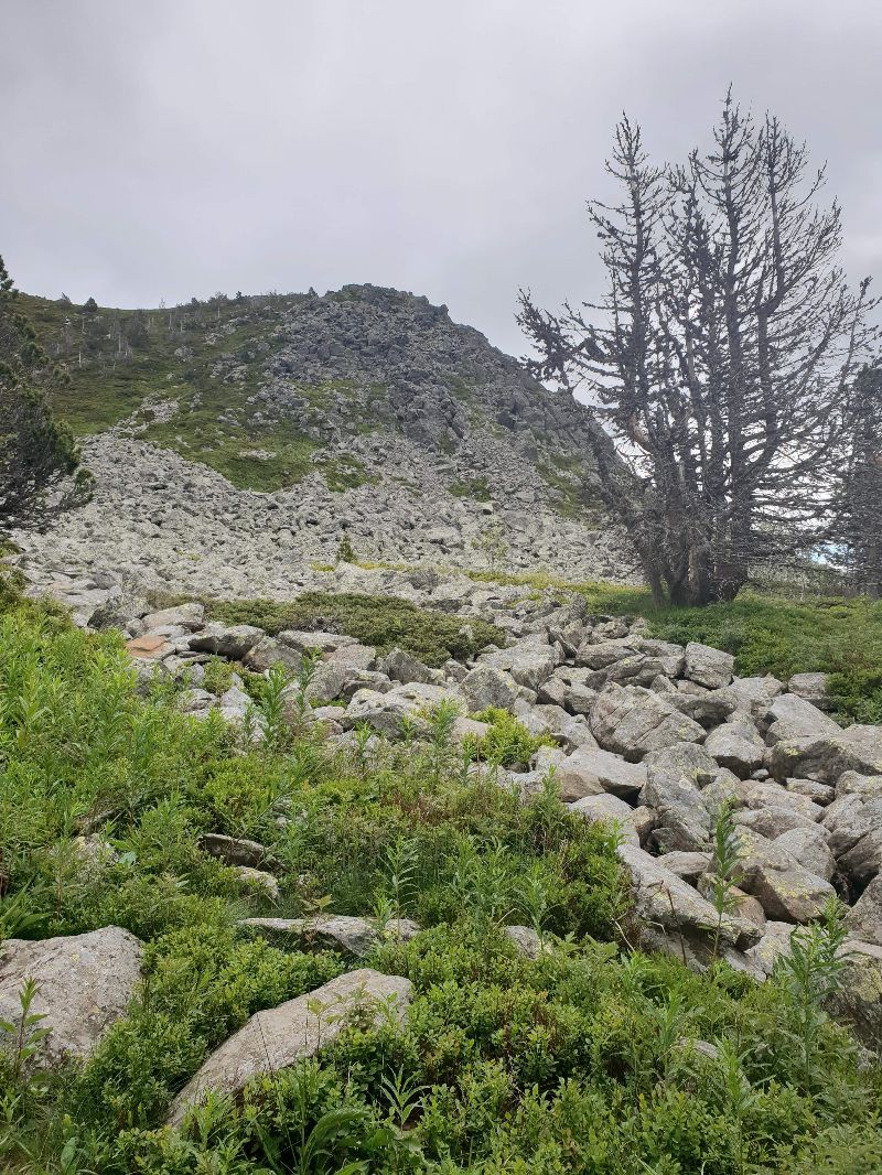 Mont Mezenc