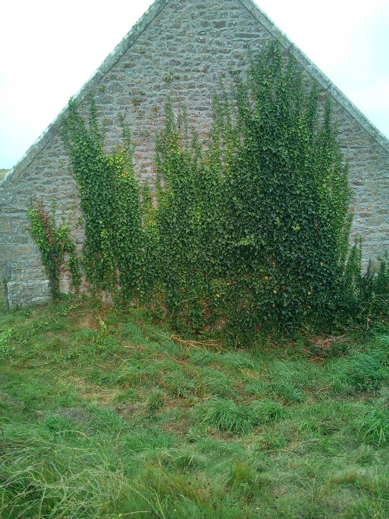 Chapelle Saint Guevroc — photo 4