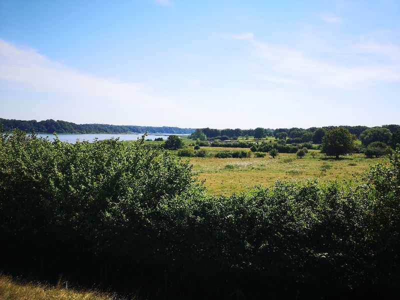 Viking Museum Hedeby — photo 4