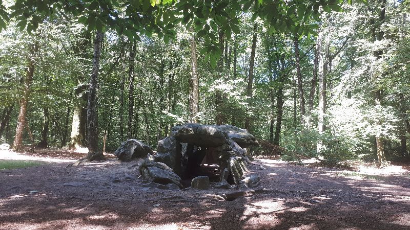 Forêt domaniale du Mesnil