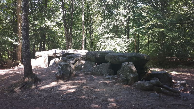 Forêt domaniale du Mesnil — photo 2