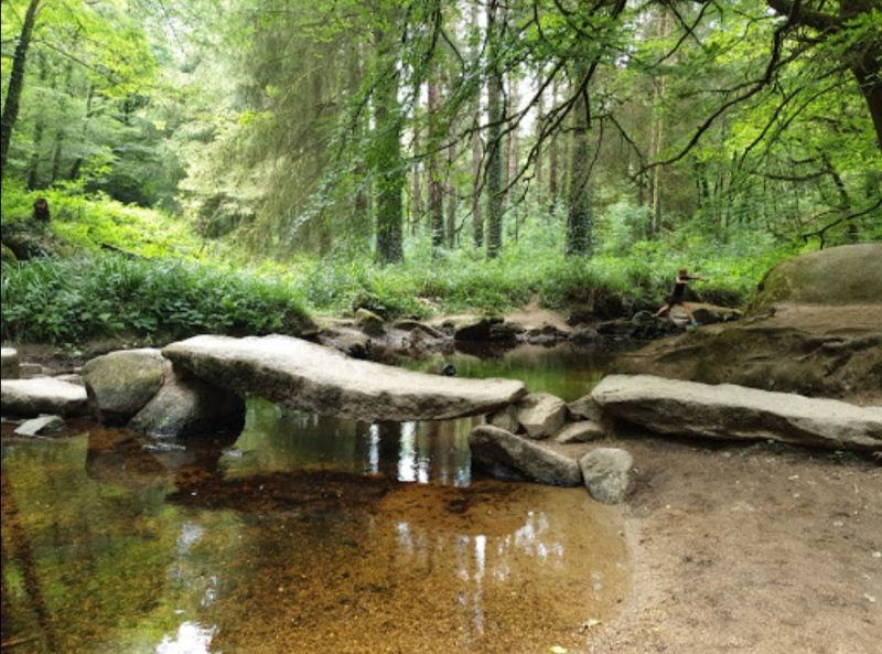 Foret de huelgoat — photo 2