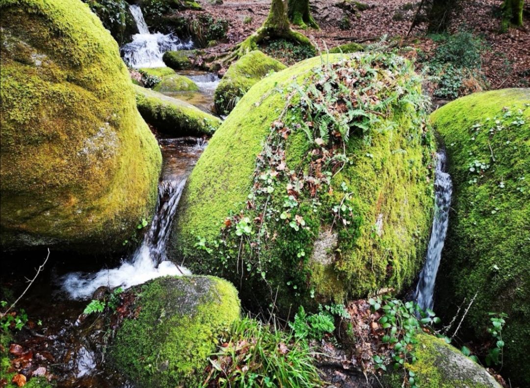 Foret de huelgoat