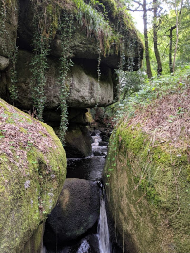Foret de huelgoat — photo 3